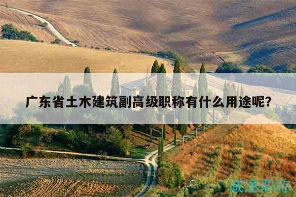 廣東省土木建筑副高級職稱有什么用途呢？