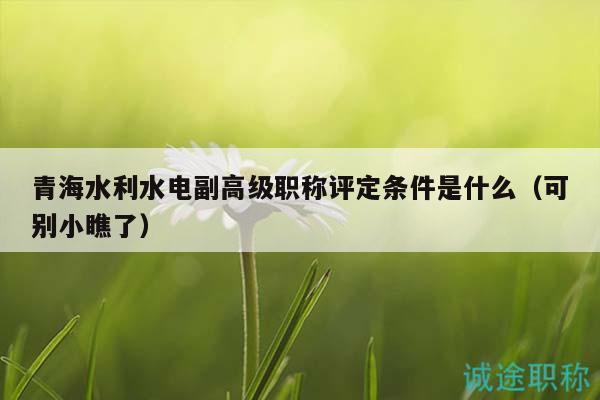 青海水利水電副高級(jí)職稱(chēng)評(píng)定條件是什么（可別小瞧了）