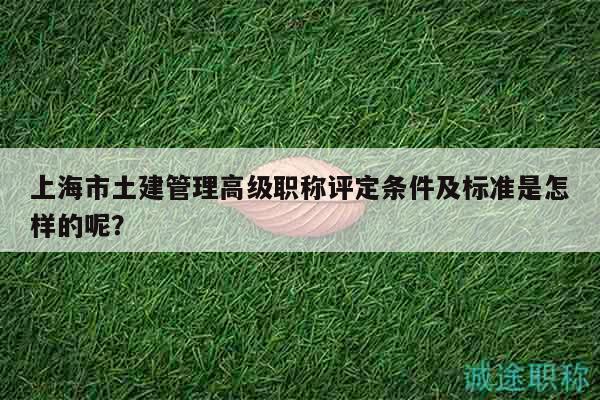 上海市土建管理高級職稱評定條件及標(biāo)準(zhǔn)是怎樣的呢？
