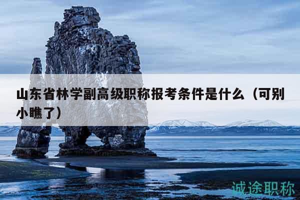 山東省林學(xué)副高級職稱報考條件是什么（可別小瞧了）