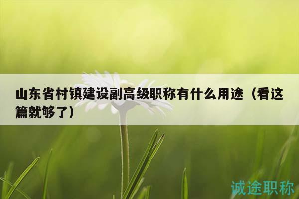 山東省村鎮(zhèn)建設(shè)副高級(jí)職稱有什么用途（看這篇就夠了）