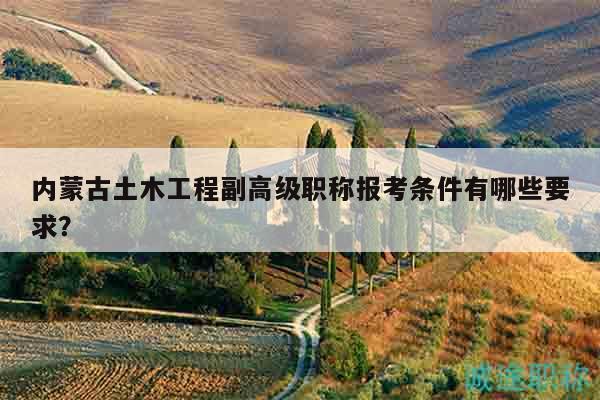 內(nèi)蒙古土木工程副高級職稱報(bào)考條件有哪些要求？
