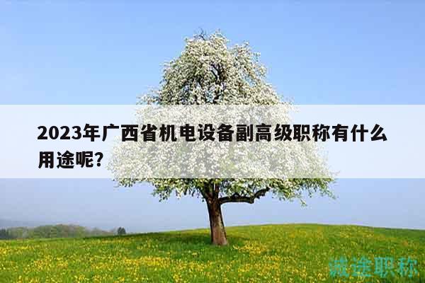 2023年廣西省機(jī)電設(shè)備副高級(jí)職稱有什么用途呢？