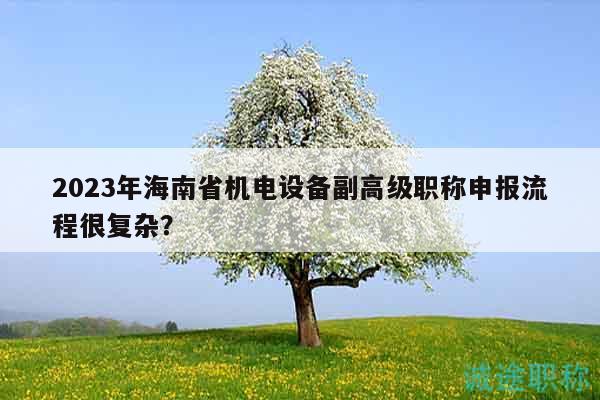 2023年海南省機(jī)電設(shè)備副高級(jí)職稱申報(bào)流程很復(fù)雜？