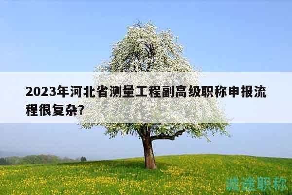 2023年河北省測(cè)量工程副高級(jí)職稱申報(bào)流程很復(fù)雜？