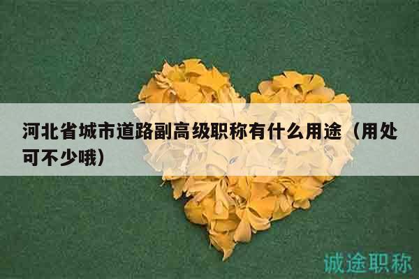 河北省城市道路副高級職稱有什么用途（用處可不少哦）