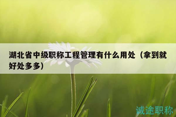 湖北省中級職稱工程管理有什么用處（拿到就好處多多）