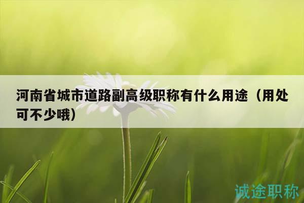 河南省城市道路副高級職稱有什么用途（用處可不少哦）