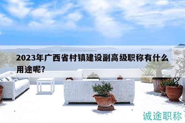 2023年廣西省村鎮(zhèn)建設(shè)副高級職稱有什么用途呢？