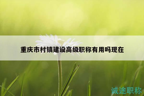 重慶市村鎮(zhèn)建設(shè)高級(jí)職稱(chēng)有用嗎現(xiàn)在