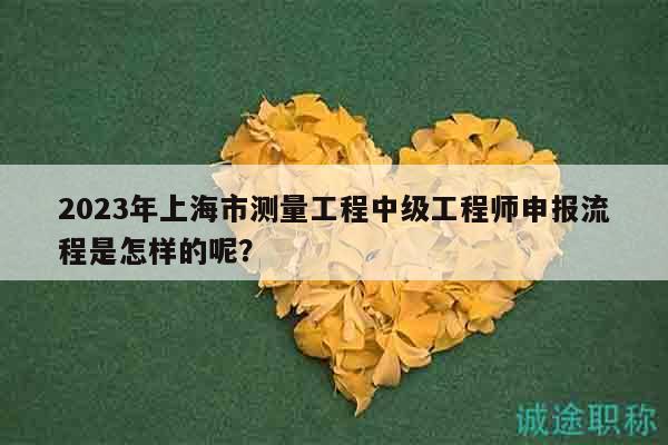 2023年上海市測量工程中級工程師申報流程是怎樣的呢？