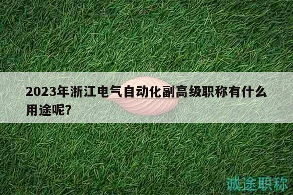 2023年浙江電氣自動化副高級職稱有什么用途呢？