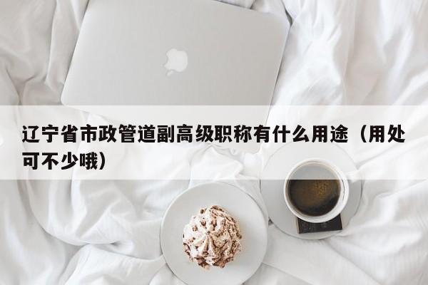 遼寧省市政管道副高級職稱有什么用途（用處可不少哦）