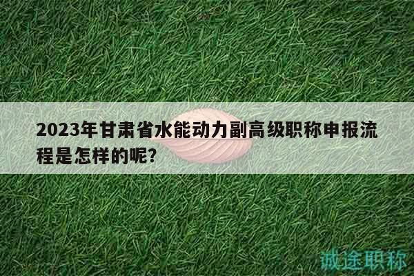 2023年甘肅省水能動(dòng)力副高級(jí)職稱申報(bào)流程是怎樣的呢？