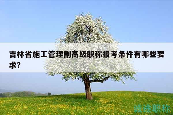 吉林省施工管理副高級職稱報考條件有哪些要求？