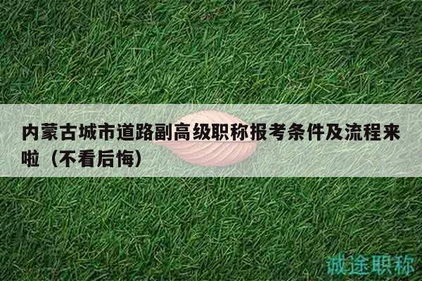 內(nèi)蒙古城市道路副高級(jí)職稱報(bào)考條件及流程來(lái)啦（不看后悔）