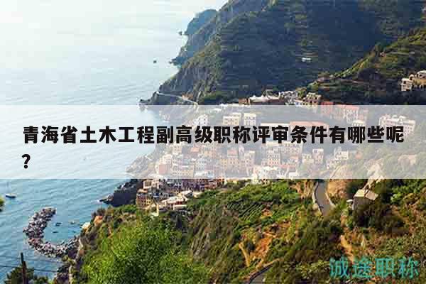 青海省土木工程副高級職稱評審條件有哪些呢？