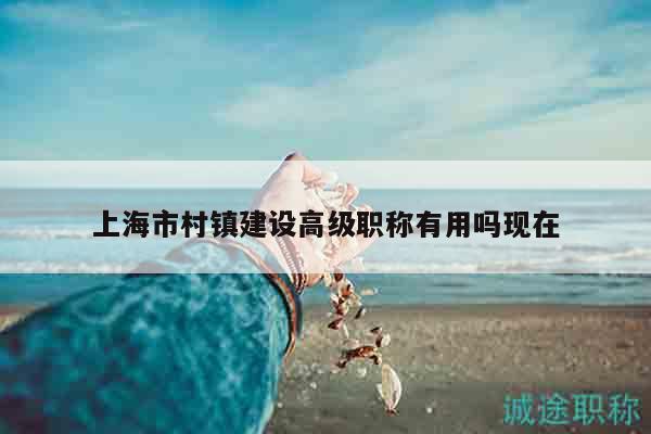 上海市村鎮(zhèn)建設(shè)高級職稱有用嗎現(xiàn)在