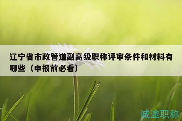遼寧省市政管道副高級(jí)職稱評(píng)審條件和材料有哪些（申報(bào)前必看）
