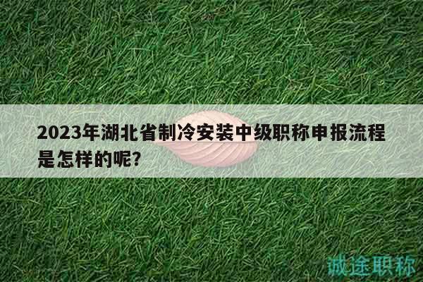 2023年湖北省制冷安裝中級(jí)職稱申報(bào)流程是怎樣的呢？