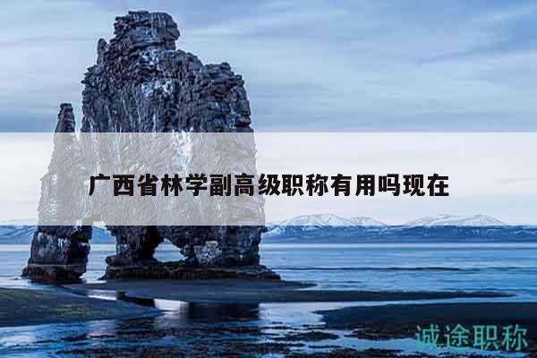 廣西省林學(xué)副高級職稱有用嗎現(xiàn)在