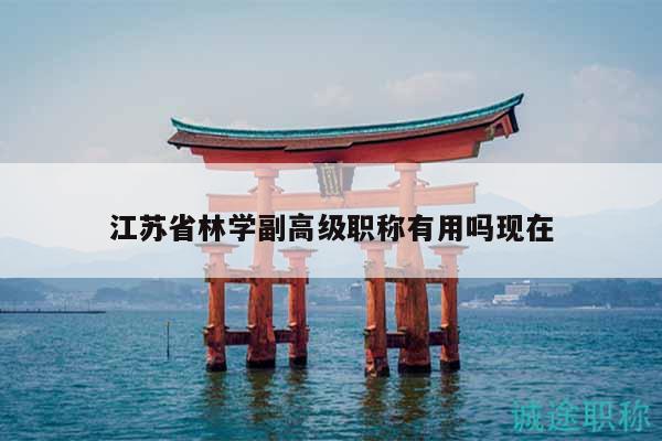 江蘇省林學(xué)副高級職稱有用嗎現(xiàn)在