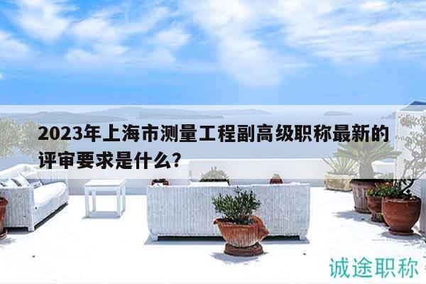 2023年上海市測(cè)量工程副高級(jí)職稱最新的評(píng)審要求是什么？