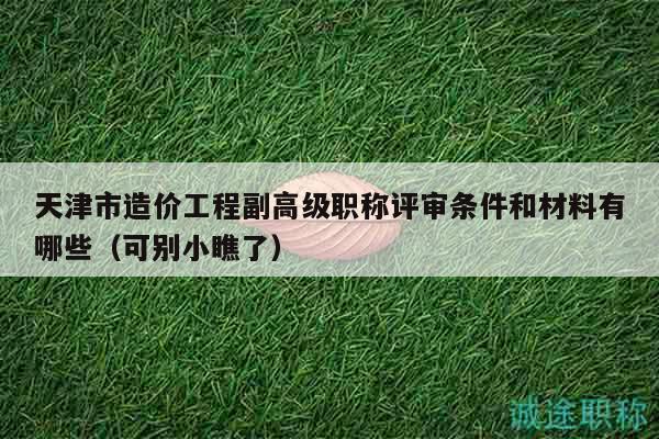 天津市造價(jià)工程副高級(jí)職稱評(píng)審條件和材料有哪些（可別小瞧了）