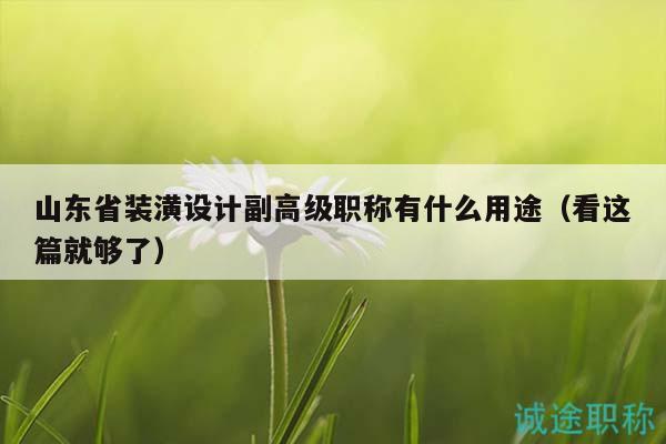 山東省裝潢設(shè)計副高級職稱有什么用途（看這篇就夠了）
