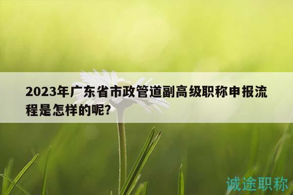 2023年廣東省市政管道副高級職稱申報流程是怎樣的呢？