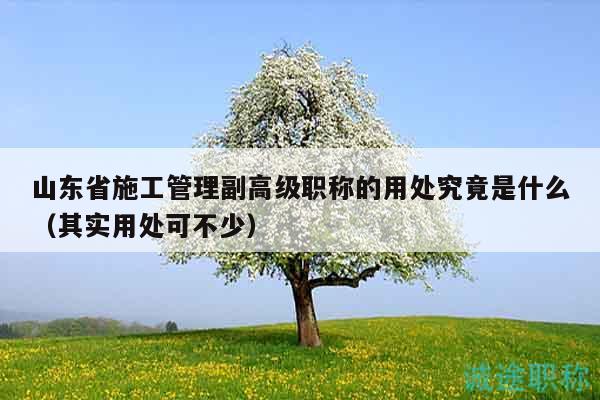 山東省施工管理副高級(jí)職稱的用處究竟是什么（其實(shí)用處可不少）