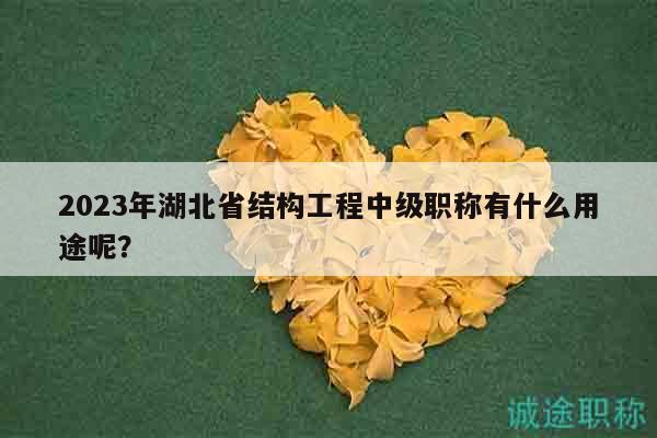 2023年湖北省結(jié)構(gòu)工程中級職稱有什么用途呢？