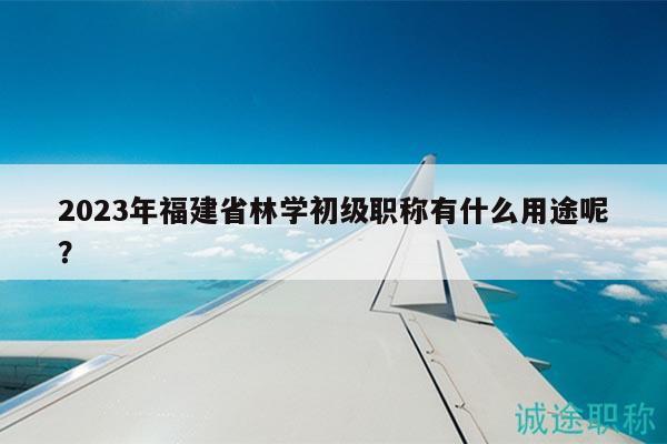 2023年福建省林學初級職稱有什么用途呢？