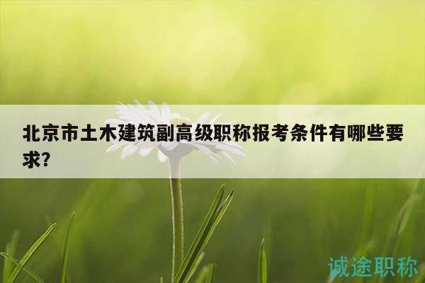 北京市土木建筑副高級職稱報考條件有哪些要求？