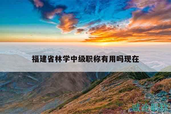 福建省林學(xué)中級職稱有用嗎現(xiàn)在