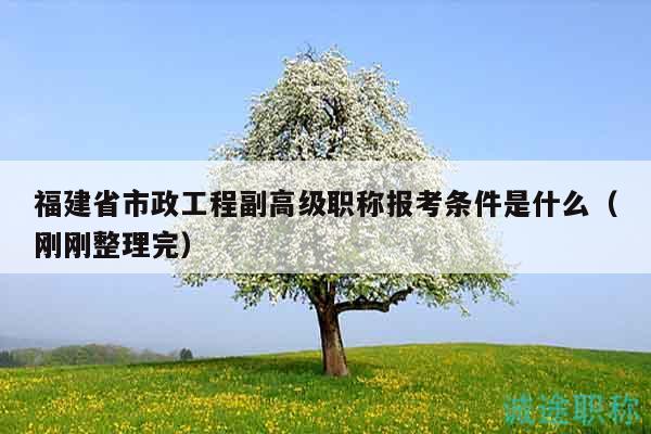 福建省市政工程副高級職稱報(bào)考條件是什么（剛剛整理完）