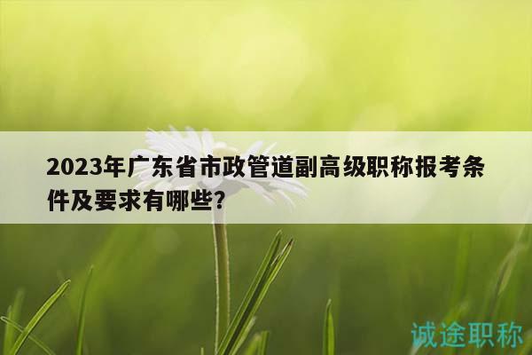 2023年廣東省市政管道副高級(jí)職稱(chēng)報(bào)考條件及要求有哪些？