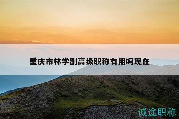 重慶市林學(xué)副高級職稱有用嗎現(xiàn)在