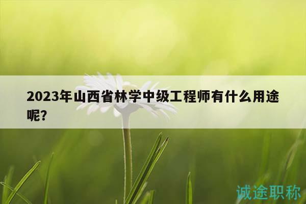 2023年山西省林學(xué)中級(jí)工程師有什么用途呢？
