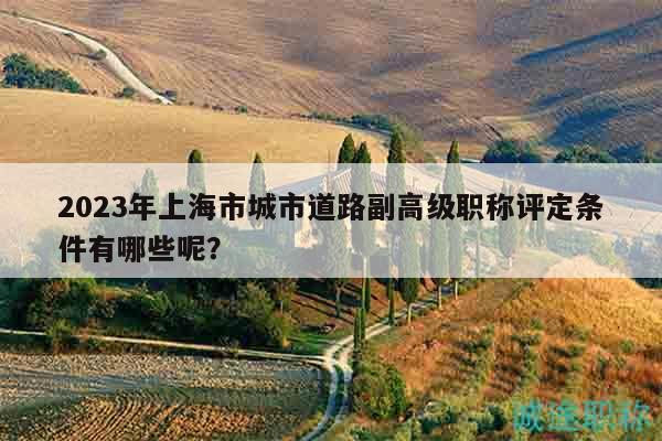 2023年上海市城市道路副高級職稱評定條件有哪些呢？