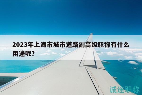 2023年上海市城市道路副高級職稱有什么用途呢？