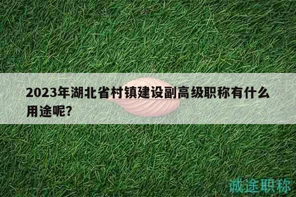 2023年湖北省村鎮(zhèn)建設(shè)副高級職稱有什么用途呢？
