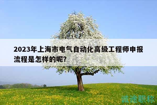 2023年上海市電氣自動化高級工程師申報流程是怎樣的呢？