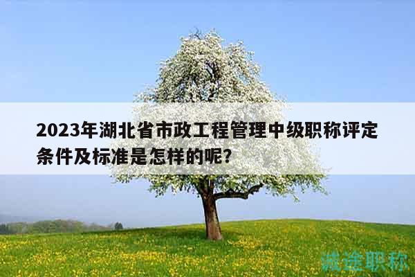 2023年湖北省市政工程管理中級(jí)職稱評(píng)定條件及標(biāo)準(zhǔn)是怎樣的呢？