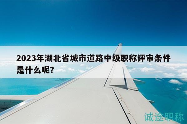 2023年湖北省城市道路中級職稱評審條件是什么呢？
