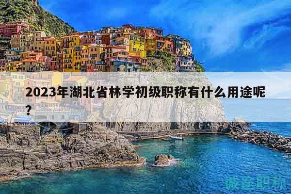 2023年湖北省林學初級職稱有什么用途呢？