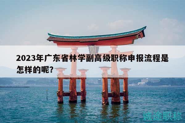 2023年廣東省林學(xué)副高級職稱申報流程是怎樣的呢？