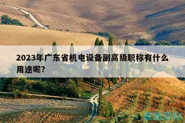 2023年廣東省機(jī)電設(shè)備副高級職稱有什么用途呢？