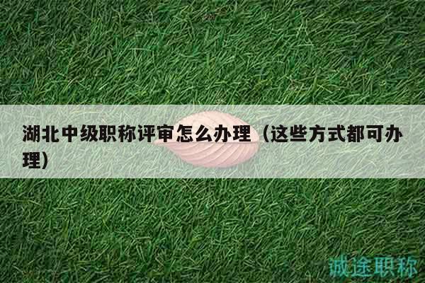 湖北中級(jí)職稱評(píng)審怎么辦理（這些方式都可辦理）