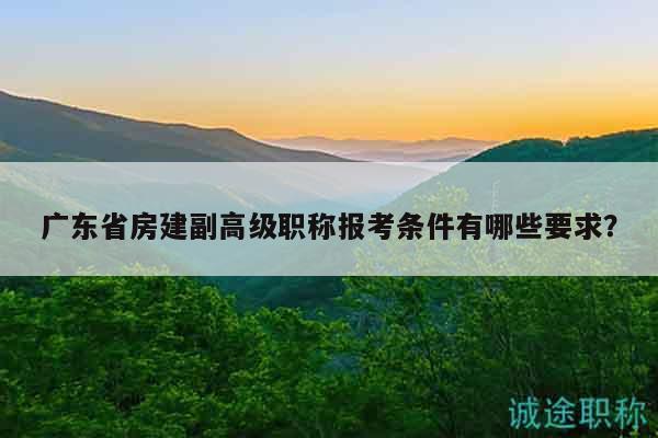 廣東省房建副高級(jí)職稱(chēng)報(bào)考條件有哪些要求？